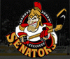 Senators Mississauga